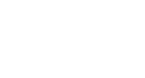 OWKO — The Attention Movement Method